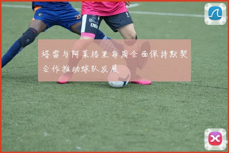 塔雷与阿莱格里每周会面保持默契合作推动球队发展
